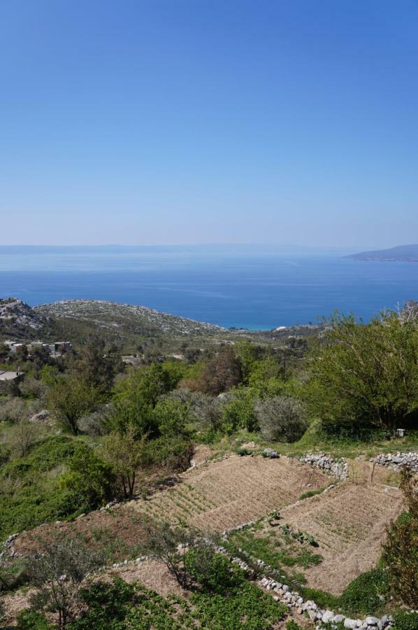Marina - Holiday Home With Sea View Μακάρσκα Εξωτερικό φωτογραφία